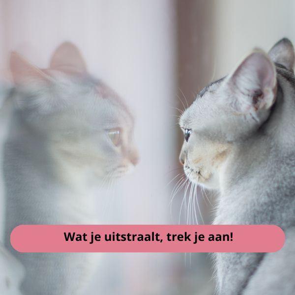 You: "I want abundance!" Universe: "But you radiate scarcity, love. image