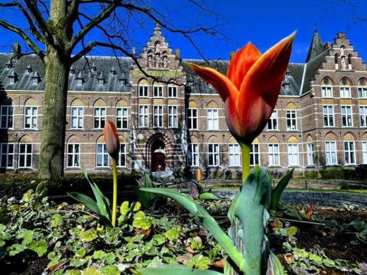 Another day! Time for growth! image