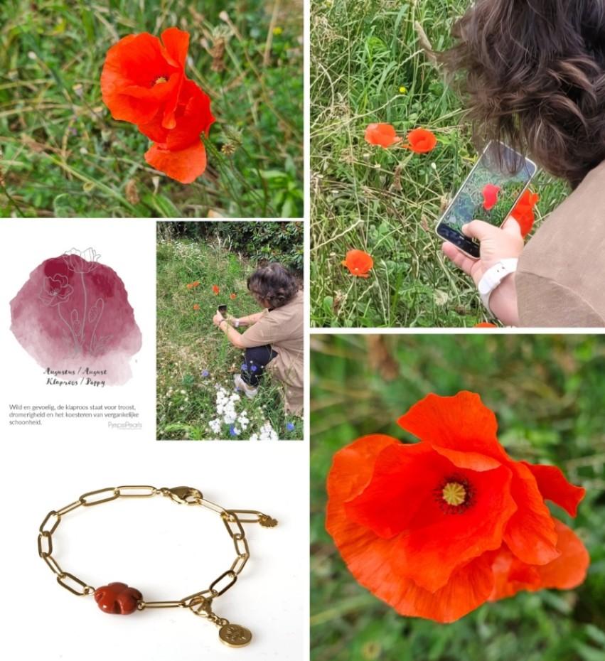 Op jacht naar het perfecte plaatje image