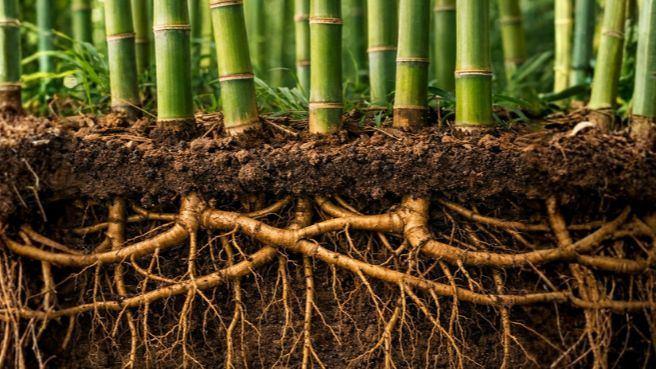 Over wat teams draagt voordat prestaties zichtbaar worden. image