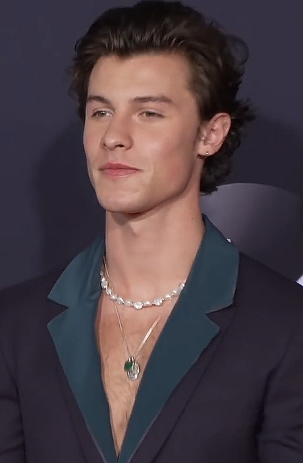 Shawn Mendes Shawn Mendes