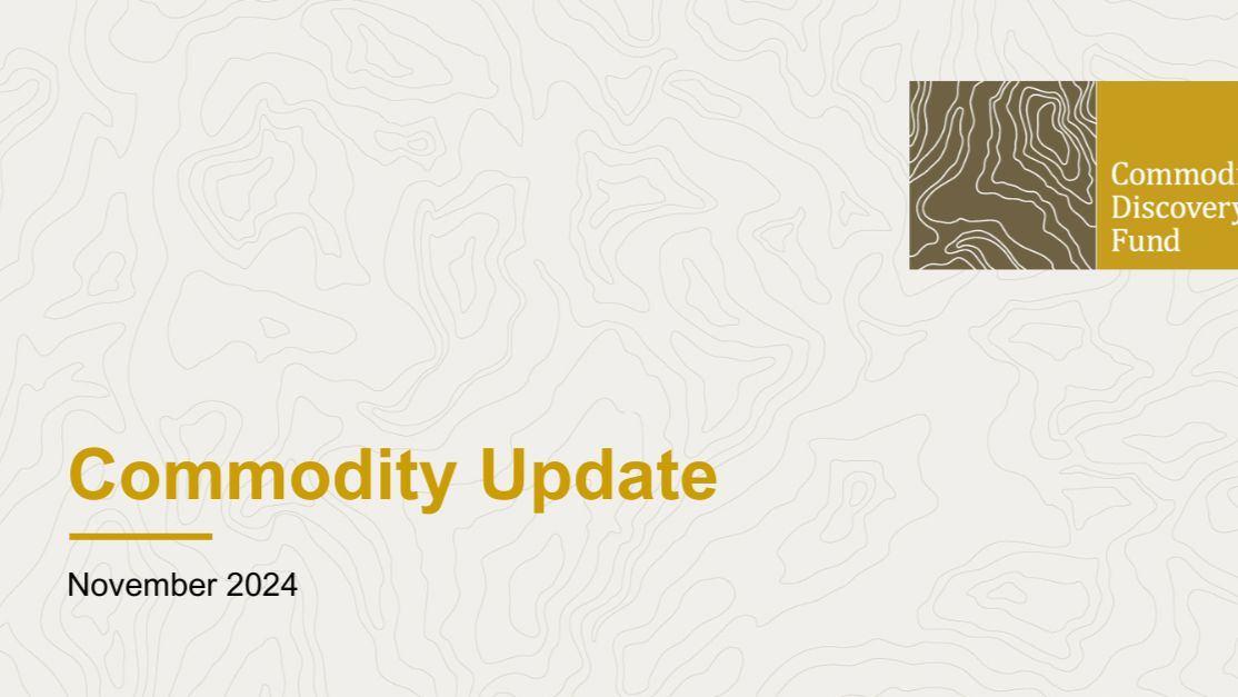 Middelkoop's Market Outlook - November 2024 image