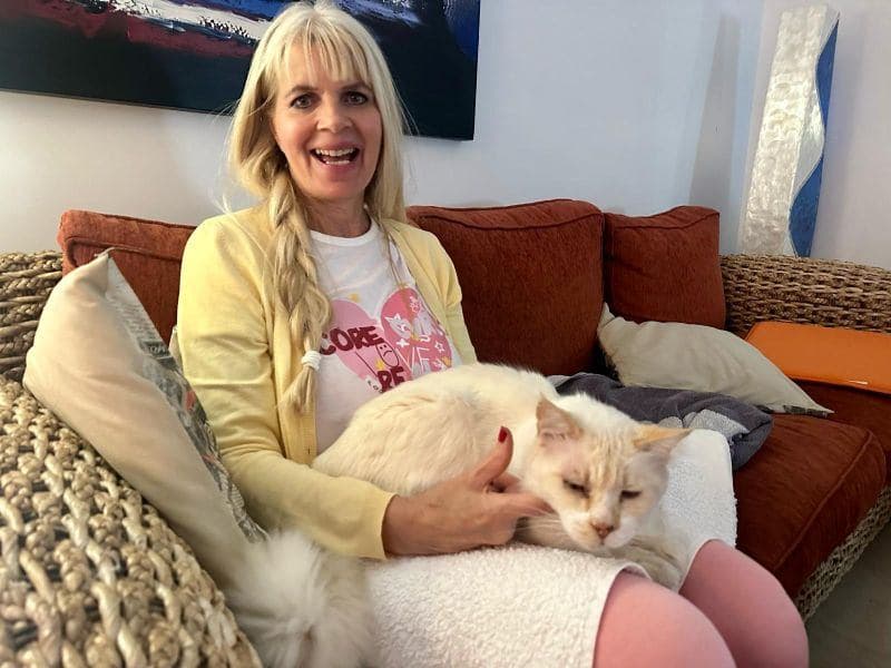 ๐๐๐ฏ๐๐ง ๐ฏ๐๐ง๐ฎ๐ข๐ญ ๐ฃ๐ ๐ก๐๐ซ๐ญ๐๐ซ๐๐ช๐ฎ๐๐ง๐ญ๐ข๐๐ image