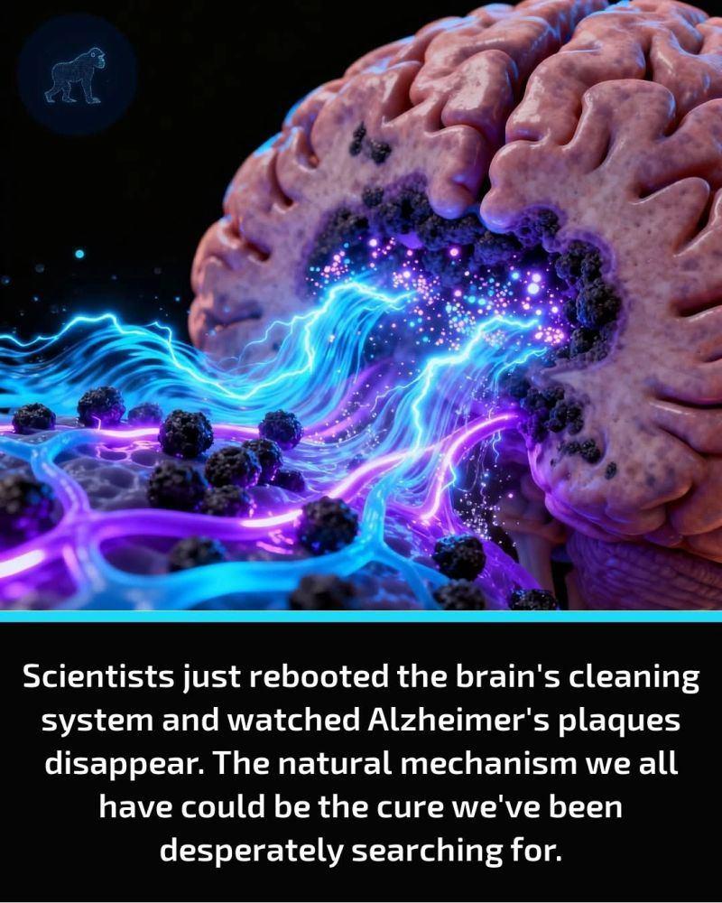 Your brain has a built-in cleaning system that's supposed to sweep away toxic proteins while you sleep. image