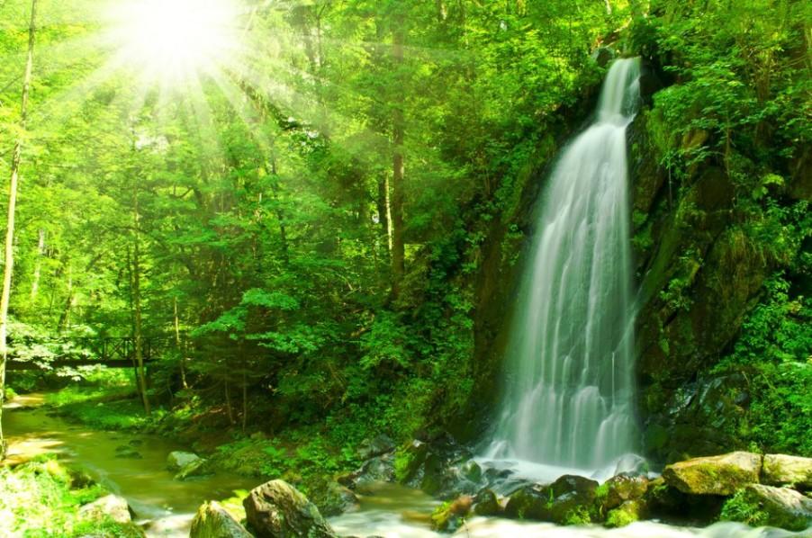 Je hebt het rijk opgebouwd. image